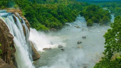 Explore these 5 heavenly places in South India for solo travel