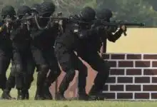 India and New Zealand joint action against terrorism