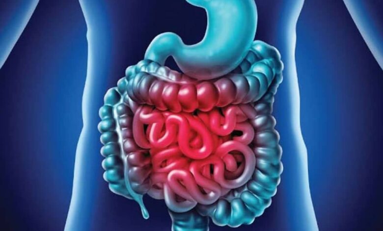 Are you suffering from inflammation in your intestines? Know the symptoms and what to eat to get relief
