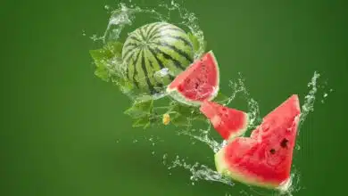 Is watermelon sweet or not Identify without cutting it!