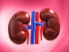 Include these 7 foods in your diet for healthy kidneys