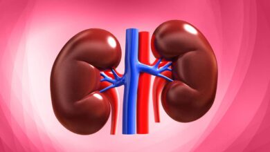 Include these 7 foods in your diet for healthy kidneys