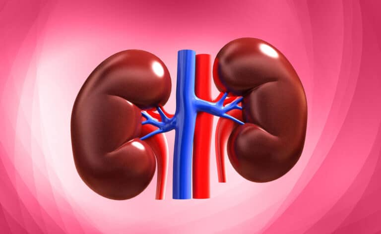 स्वस्थ Kidney के लिए अपने आहार में शामिल करें ये 7 खाद्य पदार्थ