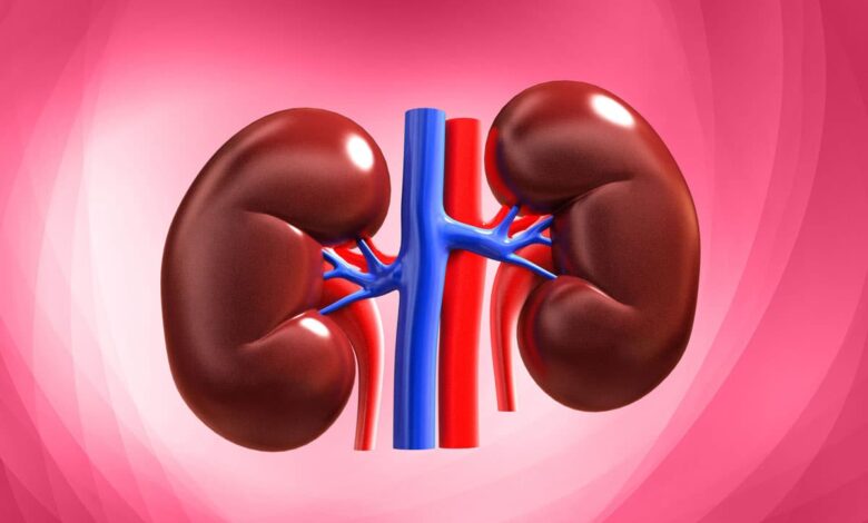 Include these 7 foods in your diet for healthy kidneys