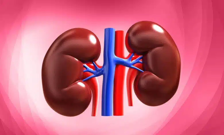 Include these 7 foods in your diet for healthy kidneys