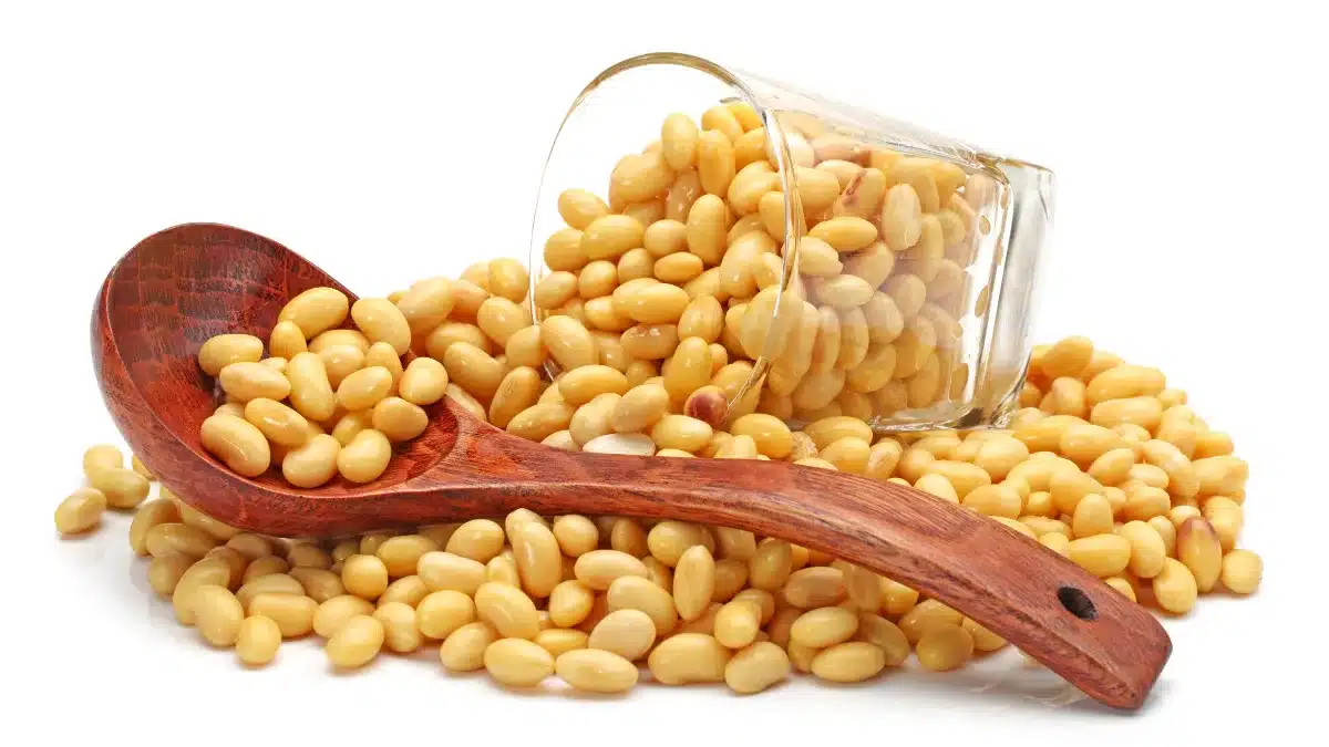 Kidney patients should stay away from these 8 pulses!