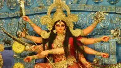 Navratri has 9 days, 9 colours, get the blessings of the Goddess!