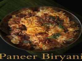 Paneer Veg Biryani
