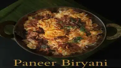 Paneer Veg Biryani