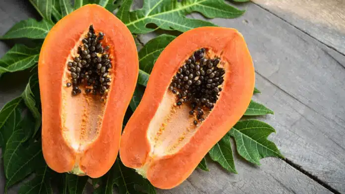 Papaya Leaves are a boon for health, know the benefits of eating papaya leaves