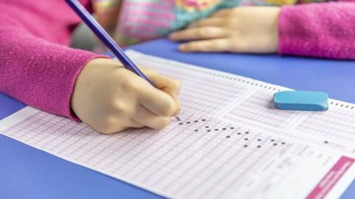 SBI Clerk Prelims Result 2025 released at sbi.co.in, know how to check Junior Associate marks