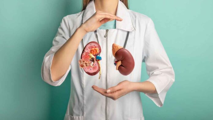 Signs of kidney damage Identify and prevent it in time!