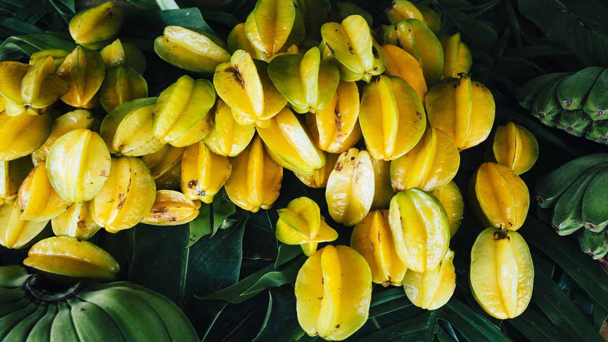 Star Fruit Carambola 3