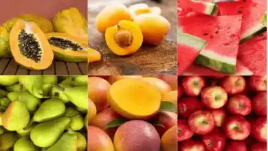 Summer Workout Diet Stay Hydrated with These 5 Foods
