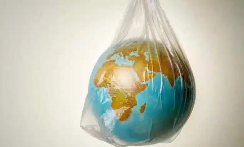 Use of polythene in Idli A threat to health!