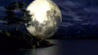 Vasanta Purnima 2025: When is Vasanta Purnima? Know the date and importance