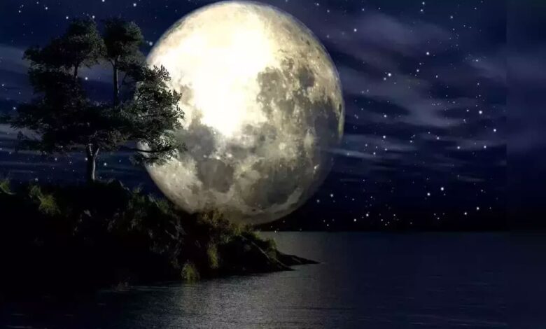 Vasanta Purnima 2025: When is Vasanta Purnima? Know the date and importance