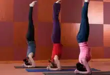 Who is the king of yoga Know the benefits and reasons!