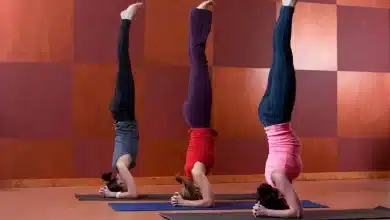 Who is the king of yoga Know the benefits and reasons!