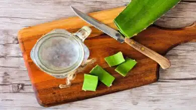 Benefits and Uses of Applying Aloe Vera Gel