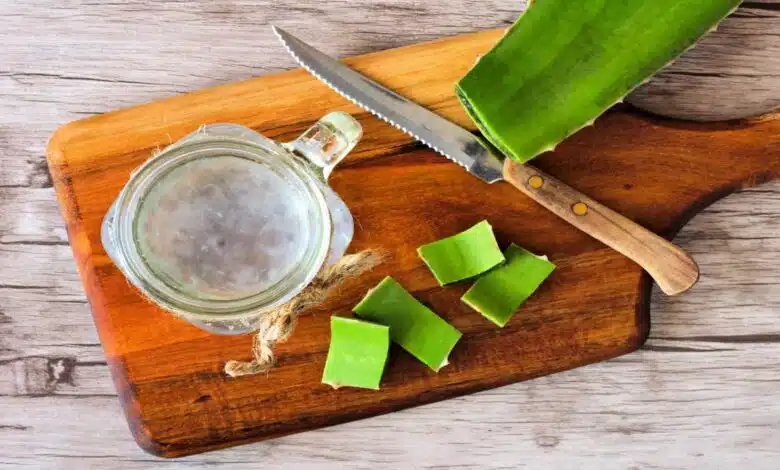 Benefits and Uses of Applying Aloe Vera Gel