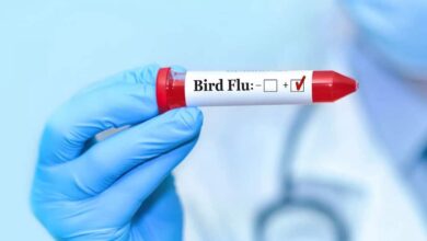 High alert after confirmation of bird flu in Solapur, Maharashtra