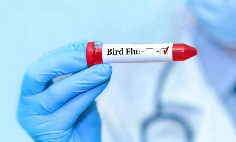 High alert after confirmation of bird flu in Solapur, Maharashtra