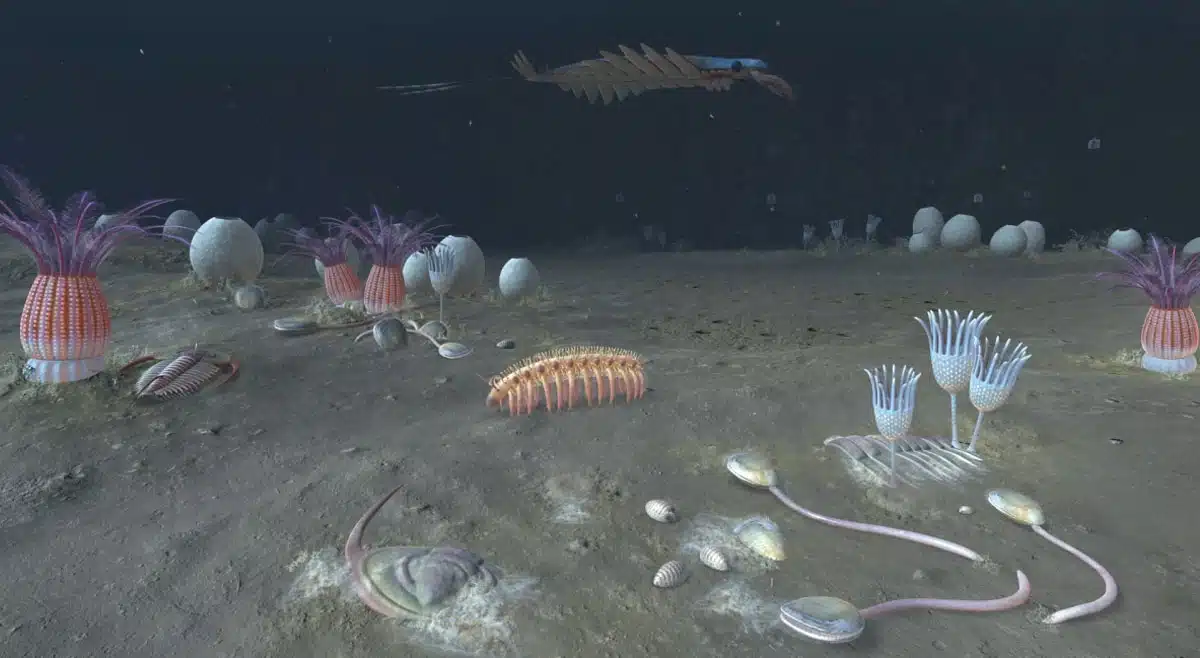 How did life begin on Earth? Know from the theory of scientists