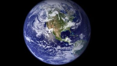 How did life begin on Earth? Know from the theory of scientists