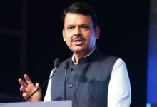 Fadnavis' big statement on Nagpur violence - "We will dig them out from their graves"