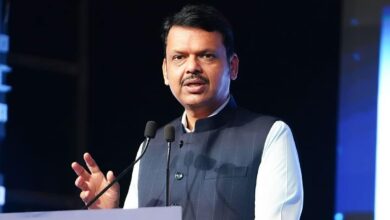 Fadnavis' big statement on Nagpur violence - "We will dig them out from their graves"