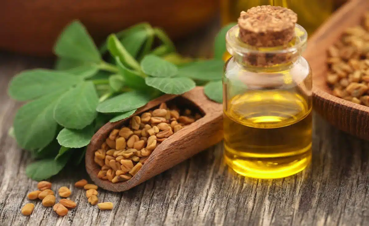 Benefits of massaging by adding fenugreek in mustard oil