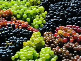 Amazing Health Benefits of Eating Grapes