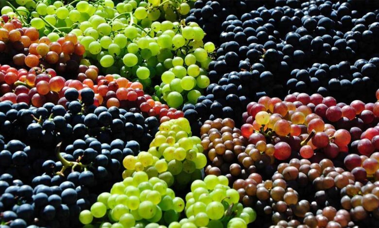 Amazing Health Benefits of Eating Grapes