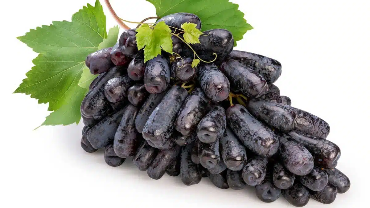 Amazing Health Benefits of Eating Grapes