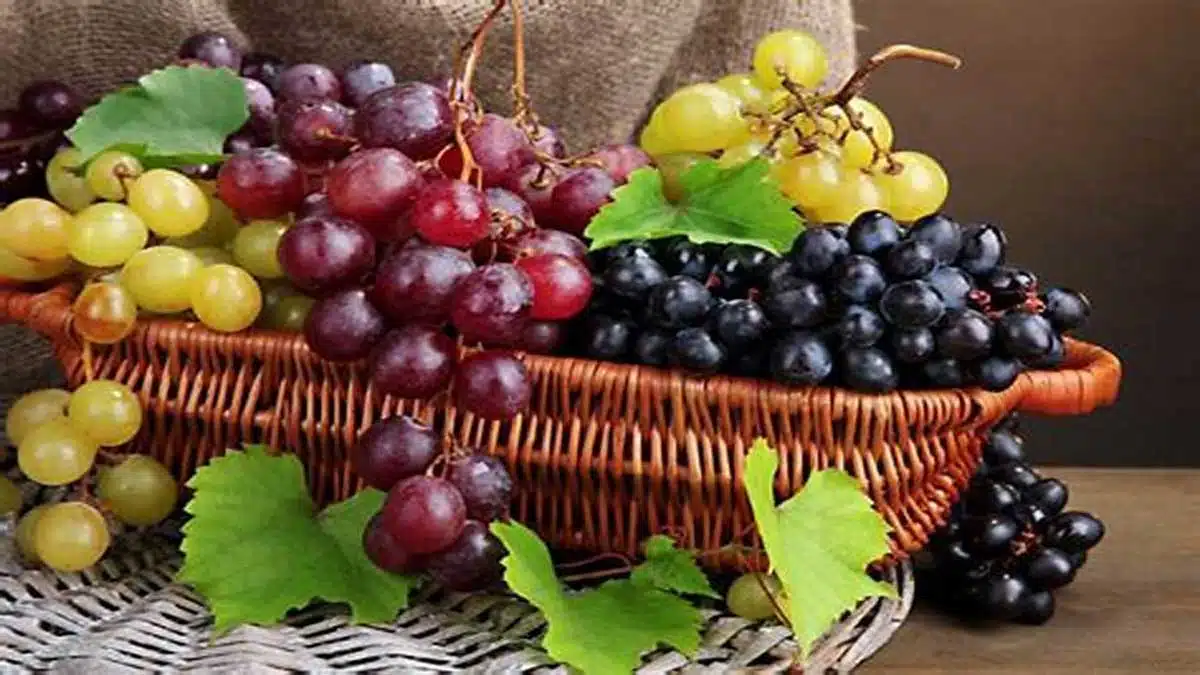 Amazing Health Benefits of Eating Grapes