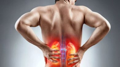 World Kidney Day 2025: Know the causes, symptoms, treatment and prevention of kidney stones