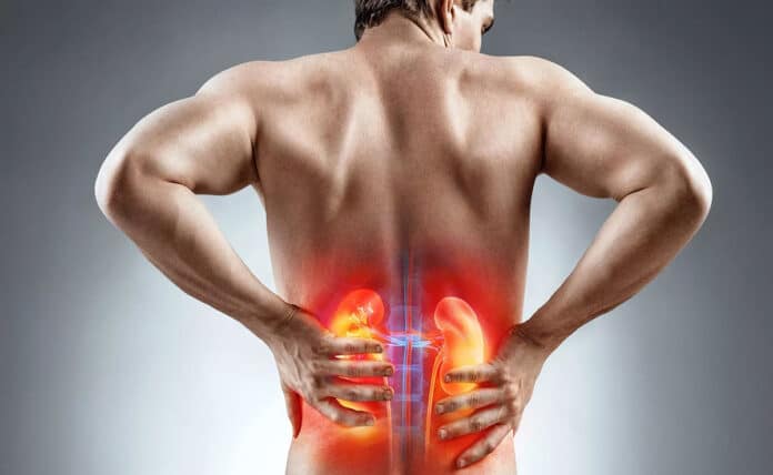 World Kidney Day 2025: Know the causes, symptoms, treatment and prevention of kidney stones