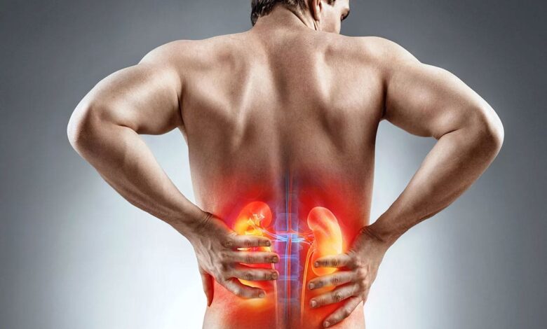 World Kidney Day 2025: Know the causes, symptoms, treatment and prevention of kidney stones