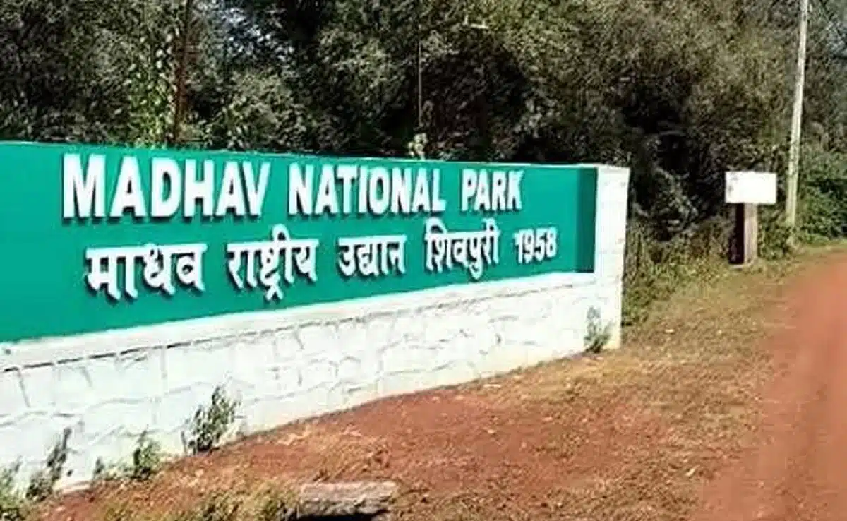 MP's Madhav National Park became India's 58th tiger reserve