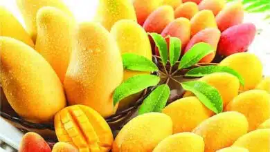 Amazing Health Benefits of Eating Mango