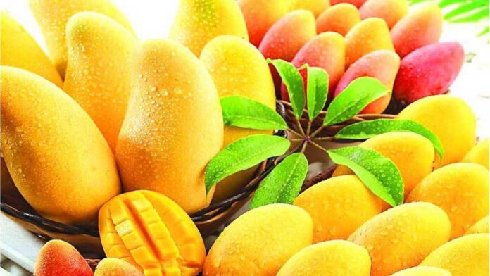 Amazing Health Benefits of Eating Mango