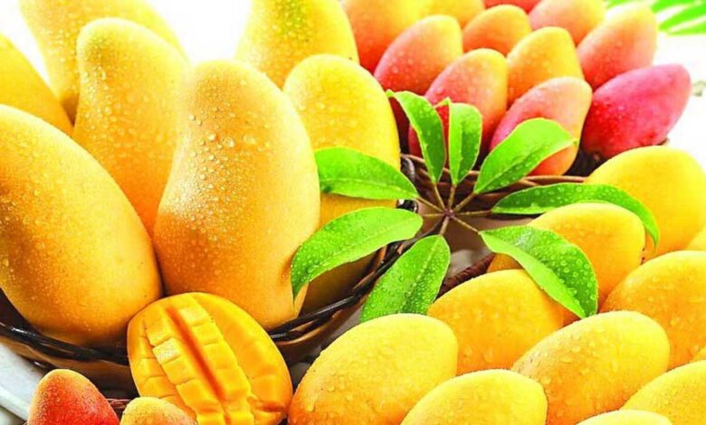 Amazing Health Benefits of Eating Mango