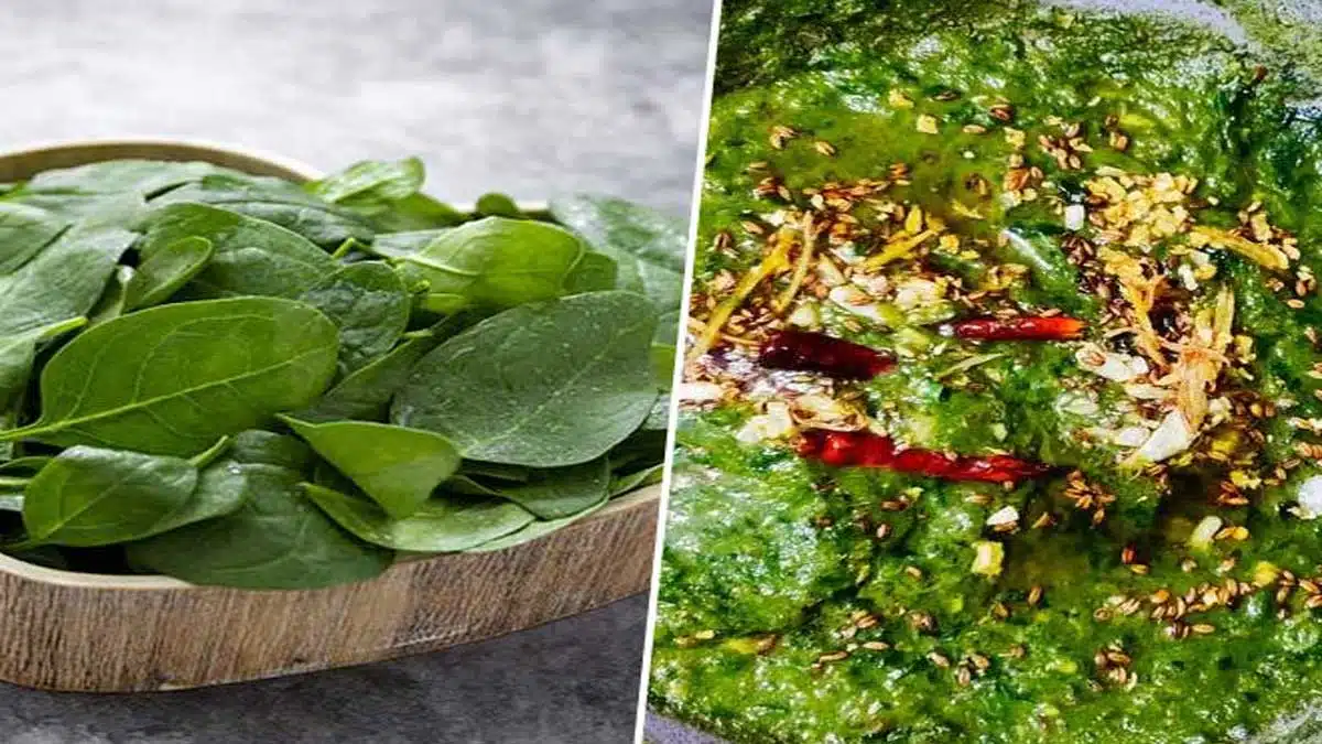 Palak Ka Saag: A Delicious Recipe