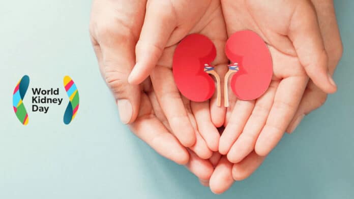 World Kidney Day 2025: Take care of your kidney health easily with these methods at home