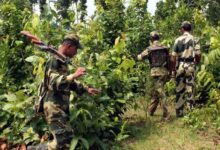 3 Maoists killed in Chhattisgarh encounter, over 135 killed so far this year