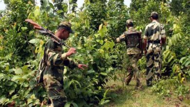 3 Maoists killed in Chhattisgarh encounter, over 135 killed so far this year
