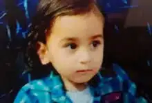 3 year old child crushed by xuv car in jalandhar