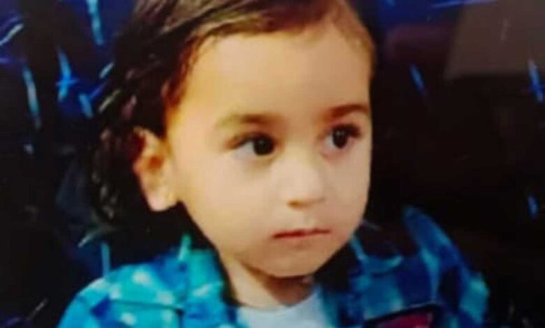 3 year old child crushed by xuv car in jalandhar