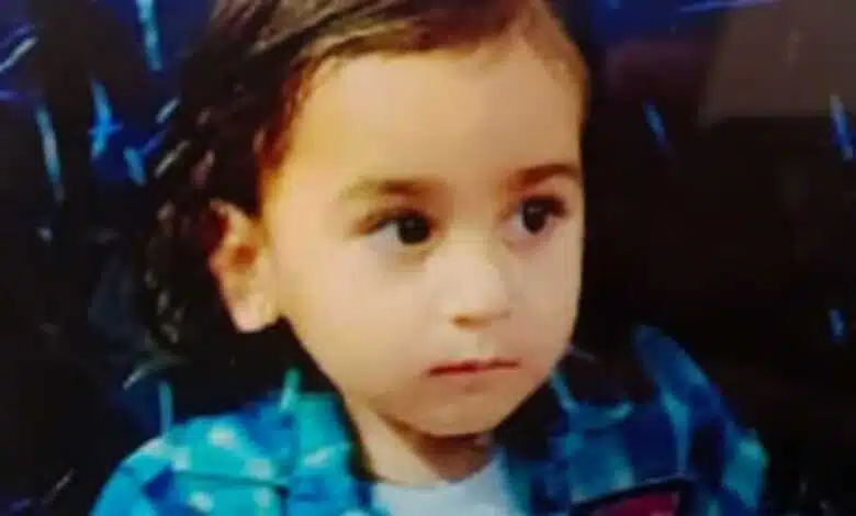 3 year old child crushed by xuv car in jalandhar